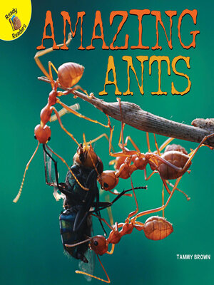 cover image of Amazing Ants